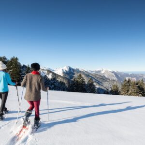 Activités neige